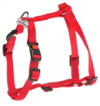 Gimdog Control Leash for Dogs 2.5 * 110 * 25cm
