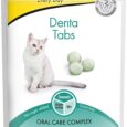 Gim Cat Dental Care Tablets for Cats, Mint Flavor, 40 gm.