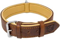 Groci Collar for Dogs
