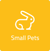 Small Pets