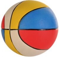 Chicos Multicolored basketball dog toys