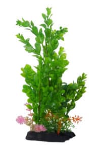 شيكوس نباتات بلاستيكية لأحواض السمك